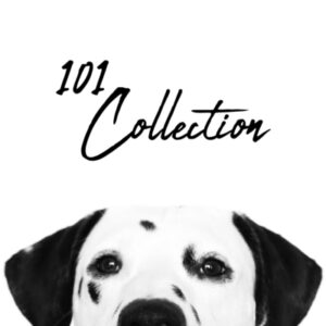 101 Collection
